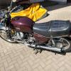 Honda CX500 links